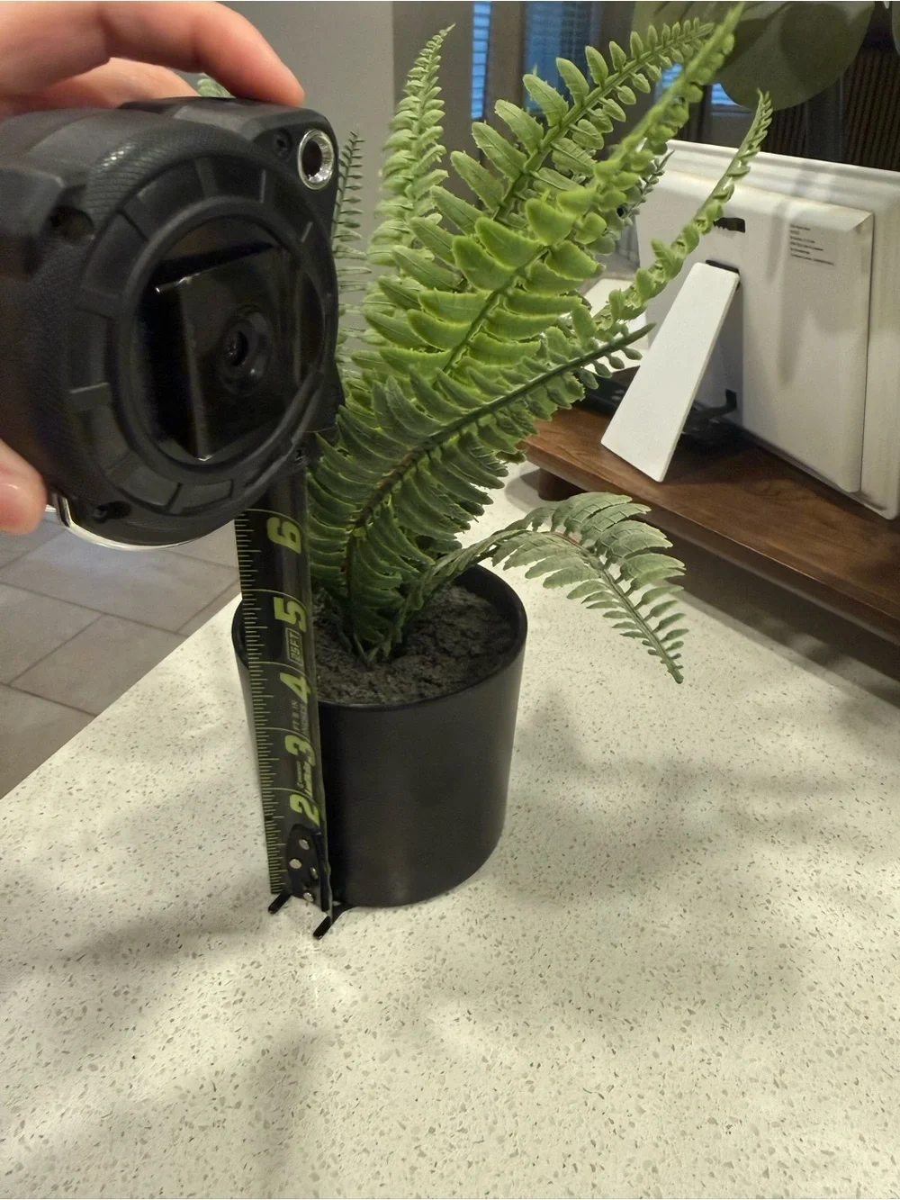 Artificial Fern Pair in Black Pots - Green Home Accents